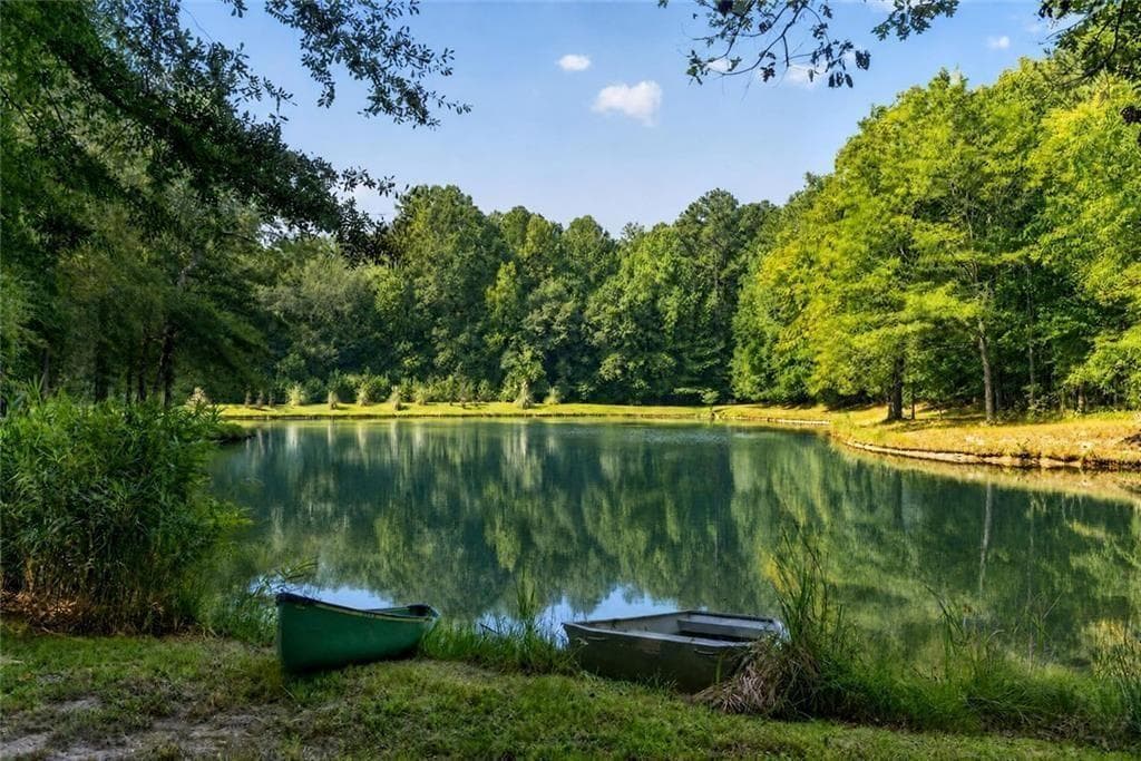 4 bedroom, 4 bathroom, 3,356 sq ft single family residence for sale at 961 Birdie Road, Griffin, GA 30223 — photo 4