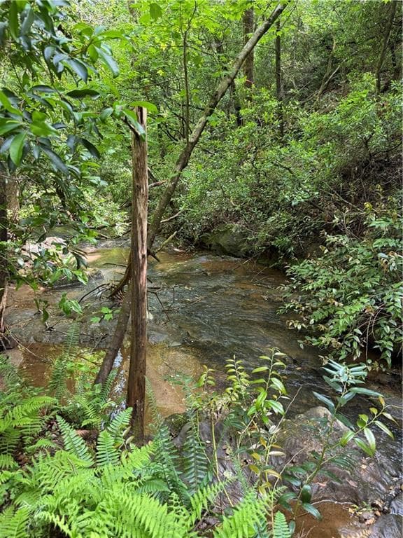 unimproved land for sale at 0 Mill Trace Court, Cleveland, GA 30528 — photo 3