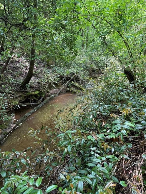 unimproved land for sale at 0 Mill Trace Court, Cleveland, GA 30528 — photo 4