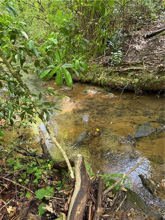 unimproved land for sale at 0 Mill Trace Court, Cleveland, GA 30528 — photo 5