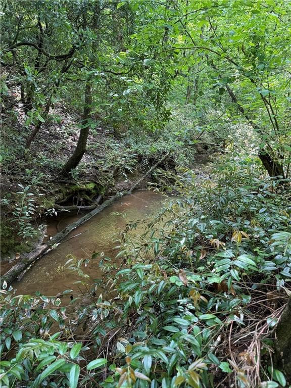 unimproved land for sale at 0 Mill Trace Court, Cleveland, GA 30528 — photo 6