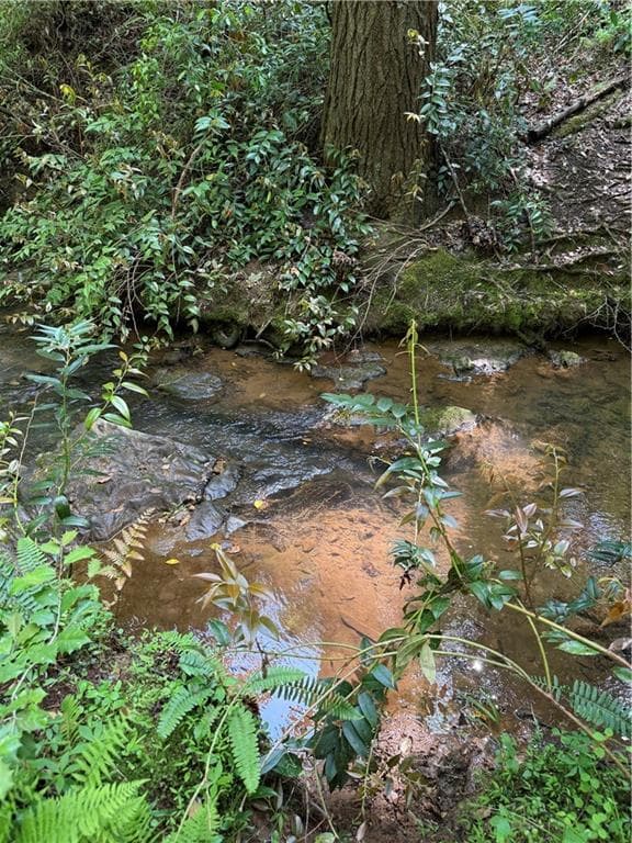 unimproved land for sale at 0 Mill Trace Court, Cleveland, GA 30528 — photo 7