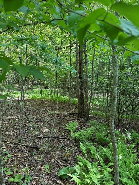 unimproved land for sale at 0 Mill Trace Court, Cleveland, GA 30528 — photo 8