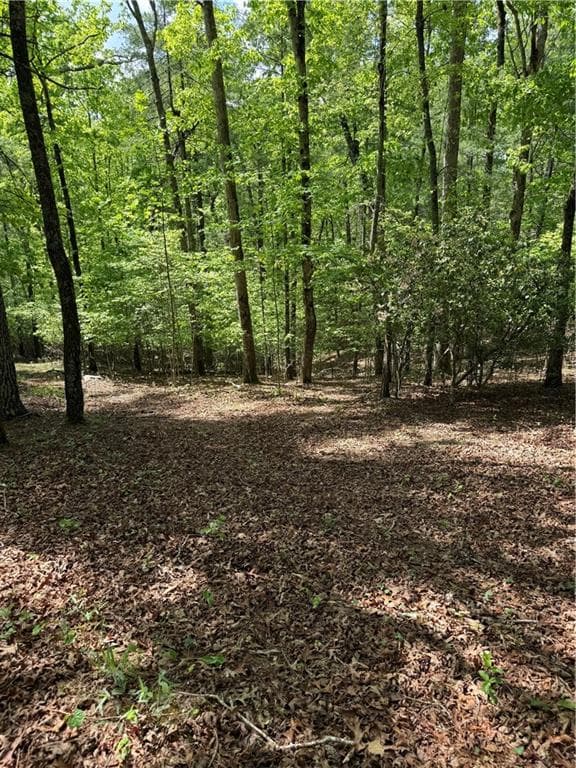 unimproved land for sale at 0 Mill Trace Court, Cleveland, GA 30528