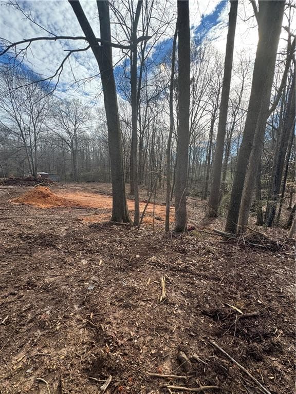 other for sale at 260 Roosevelt Circle, Bowman, GA 30624 — photo 4