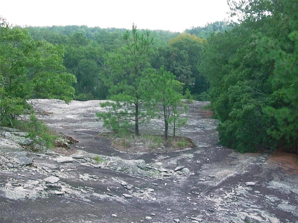 unimproved land for sale at 0000 Rabbit Farm Road, Loganville, GA 30052 — photo 1 of 28