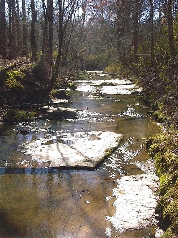 unimproved land for sale at 0000 Rabbit Farm Road, Loganville, GA 30052 — photo 3