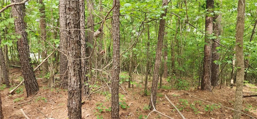unimproved land for sale at 0000 Rabbit Farm Road, Loganville, GA 30052 — photo 5