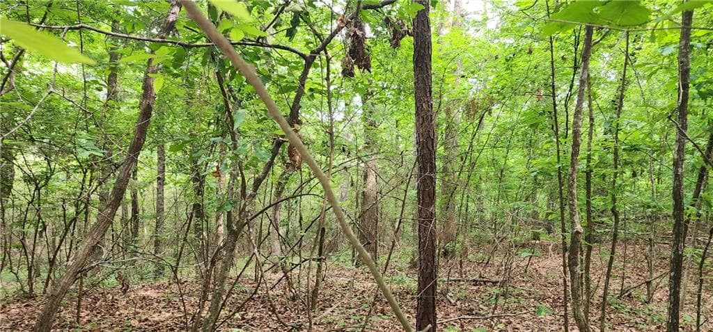 unimproved land for sale at 0000 Rabbit Farm Road, Loganville, GA 30052 — photo 6