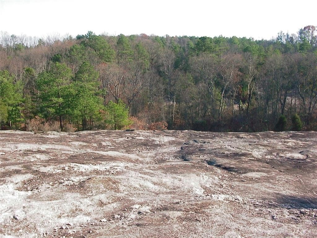 unimproved land for sale at 0000 Rabbit Farm Road, Loganville, GA 30052 — photo 7