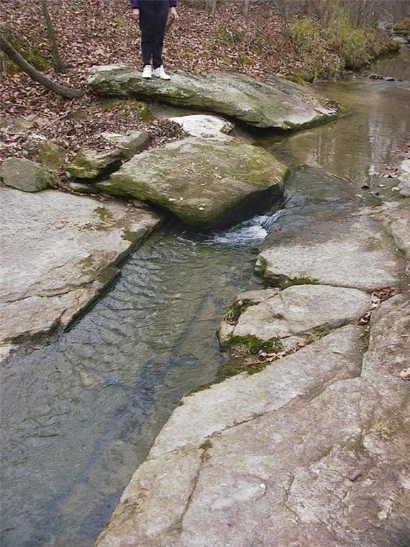 unimproved land for sale at 0000 Rabbit Farm Road, Loganville, GA 30052 — photo 8