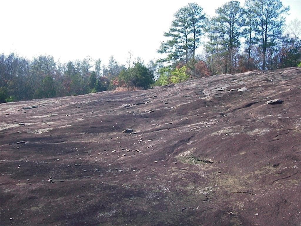 unimproved land for sale at 0000 Rabbit Farm Road, Loganville, GA 30052 — photo 9