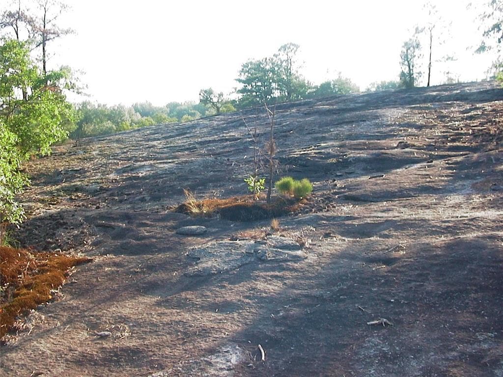 unimproved land for sale at 0000 Rabbit Farm Road, Loganville, GA 30052 — photo 10