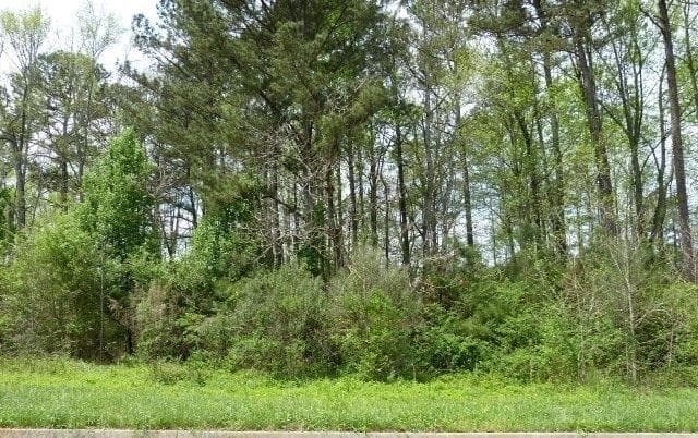single family residence for sale at 204 Benefield Court, Stockbridge, GA 30281 — photo 8