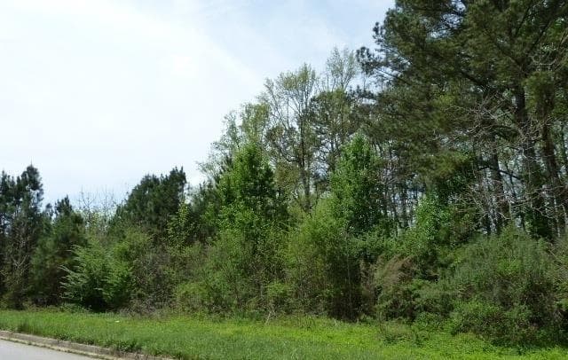 single family residence for sale at 204 Benefield Court, Stockbridge, GA 30281 — photo 9