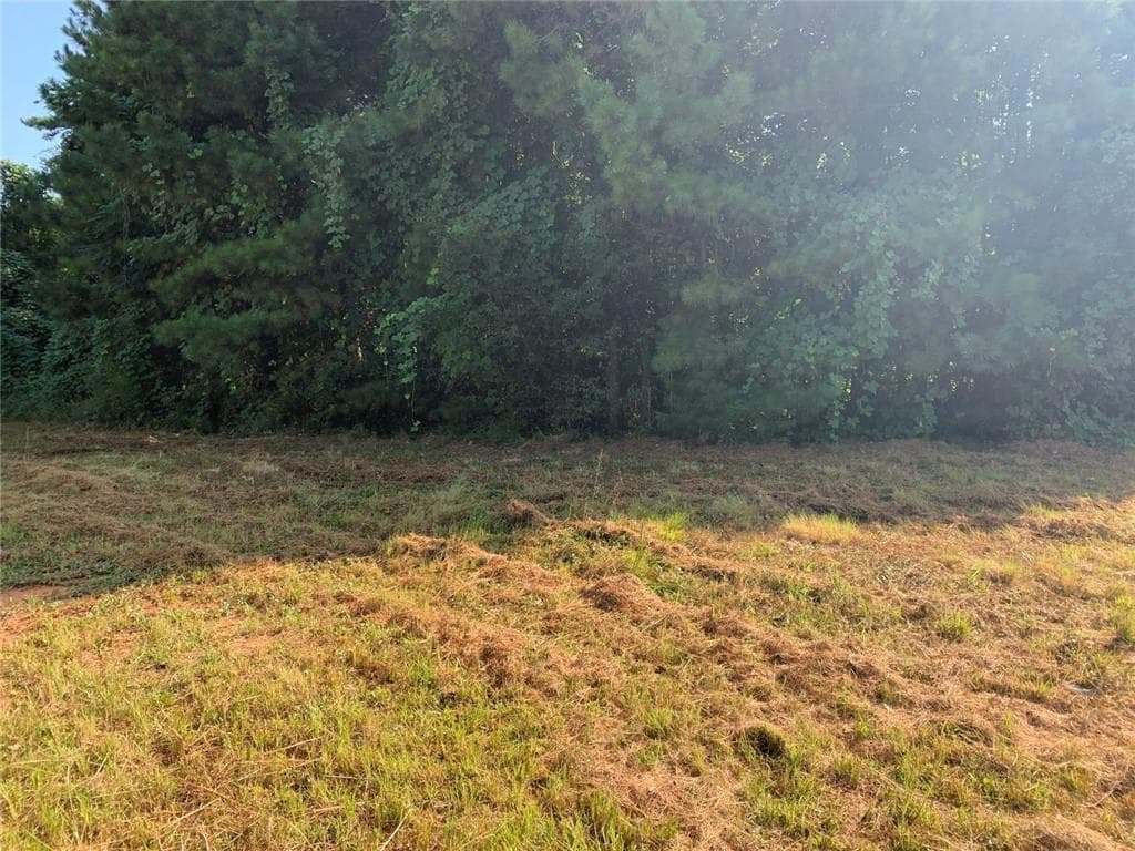 unimproved land for sale at 604 Tahoe Trail, Stockbridge, GA 30281 — photo 3