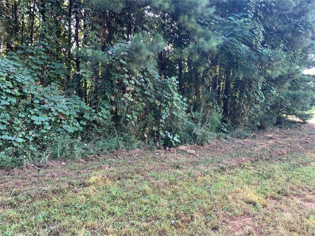 unimproved land for sale at 604 Tahoe Trail, Stockbridge, GA 30281 — photo 5