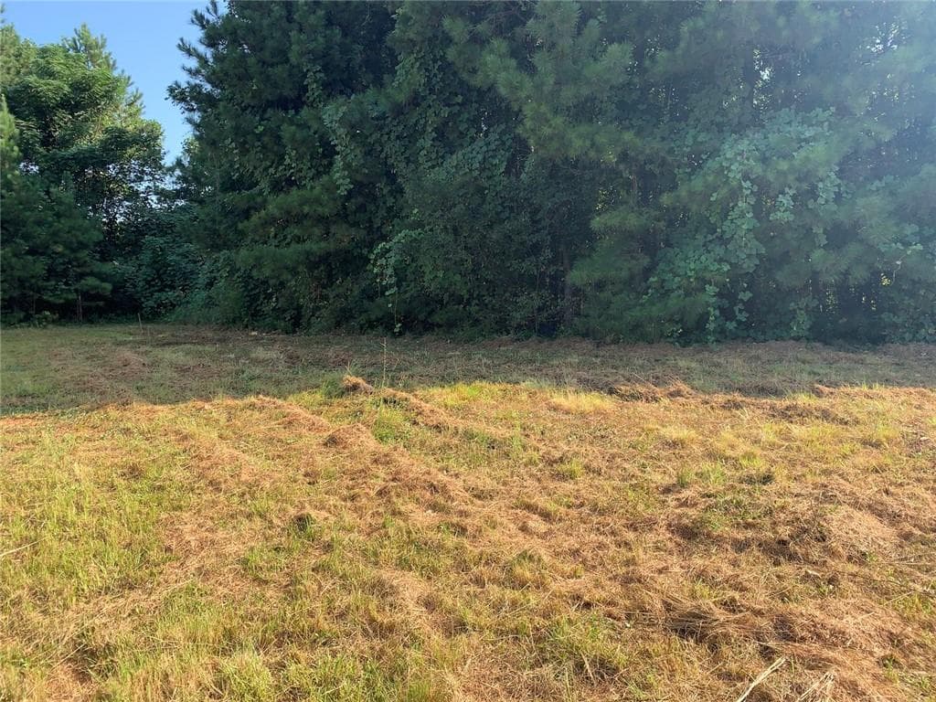 unimproved land for sale at 604 Tahoe Trail, Stockbridge, GA 30281 — photo 8