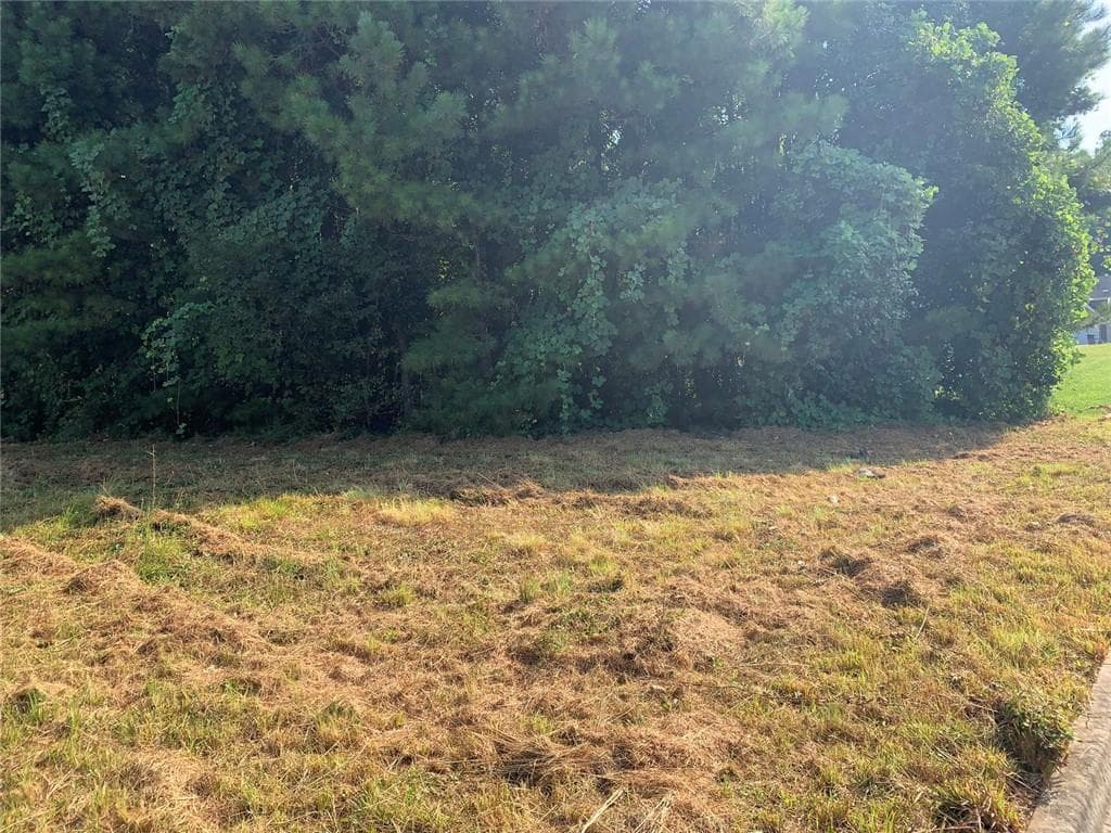 unimproved land for sale at 604 Tahoe Trail, Stockbridge, GA 30281 — photo 9