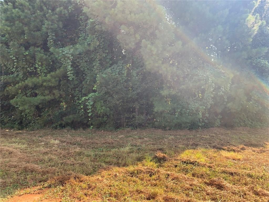 unimproved land for sale at 604 Tahoe Trail, Stockbridge, GA 30281 — photo 10