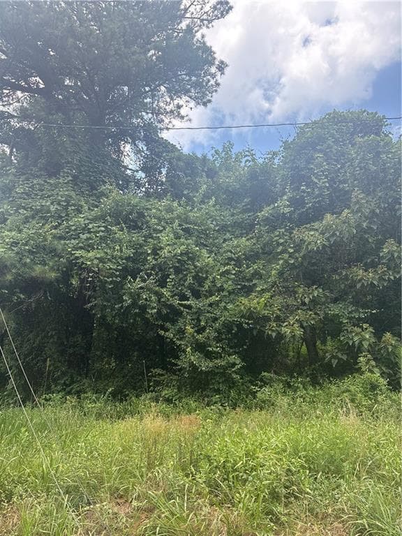 unimproved land for sale at 1944 Highway 29, Dacula, GA 30019 — photo 6