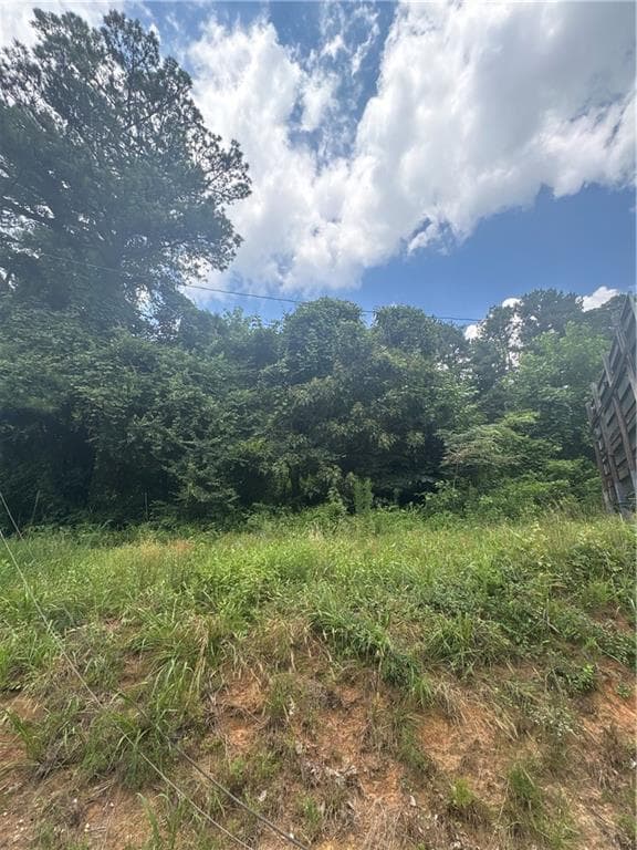 unimproved land for sale at 1944 Highway 29, Dacula, GA 30019 — photo 8