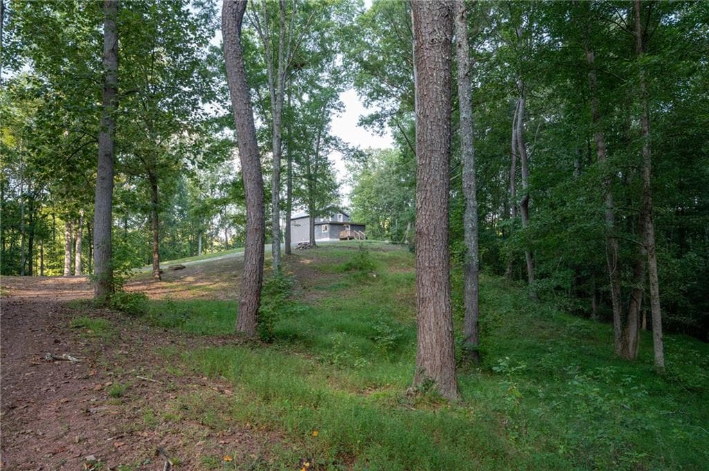 3 bedroom, 2 bathroom, 1,716 sq ft single family residence for sale at 678 River Bend Road, Plainville, GA 30733 — photo 4