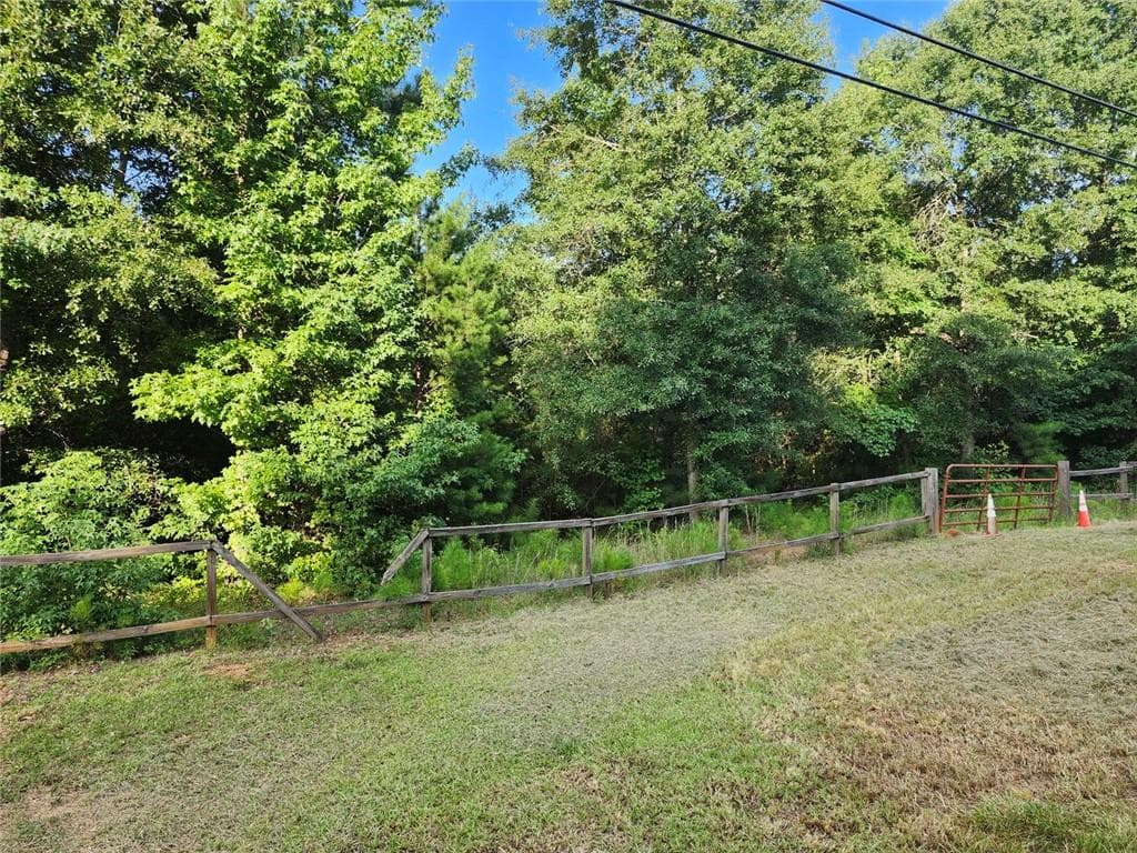 unimproved land for sale at 000 Hwy 142, Newborn, GA 30047 — photo 3