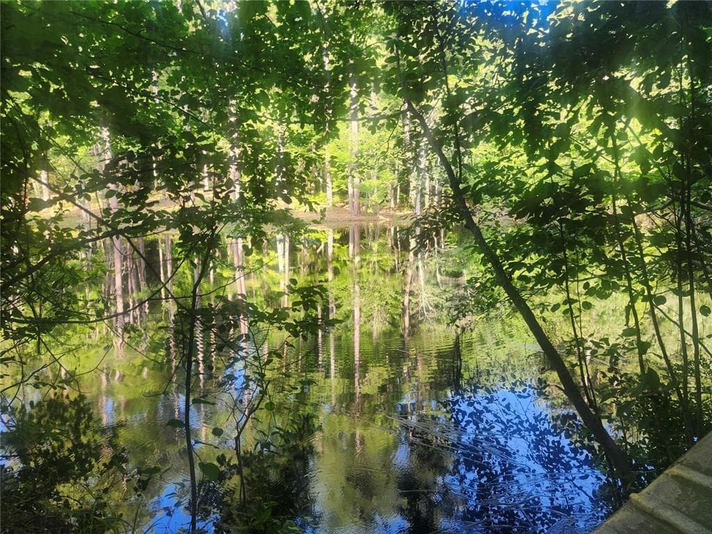 unimproved land for sale at 000 Hwy 142, Newborn, GA 30047 — photo 1 of 9