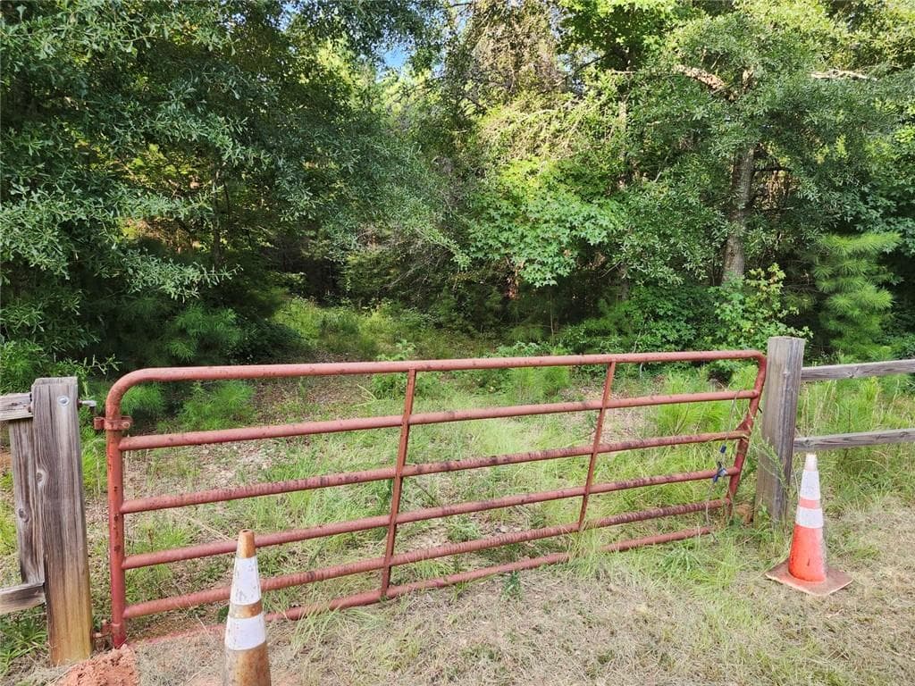 unimproved land for sale at 000 Hwy 142, Newborn, GA 30047 — photo 2