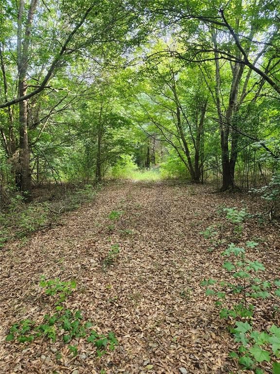 unimproved land for sale at 000 Hwy 142, Newborn, GA 30047 — photo 4