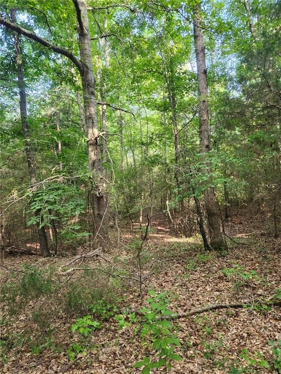 unimproved land for sale at 000 Hwy 142, Newborn, GA 30047 — photo 7