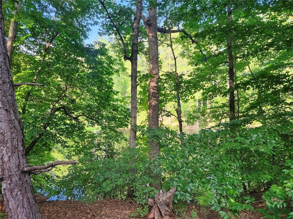 unimproved land for sale at 000 Hwy 142, Newborn, GA 30047 — photo 8