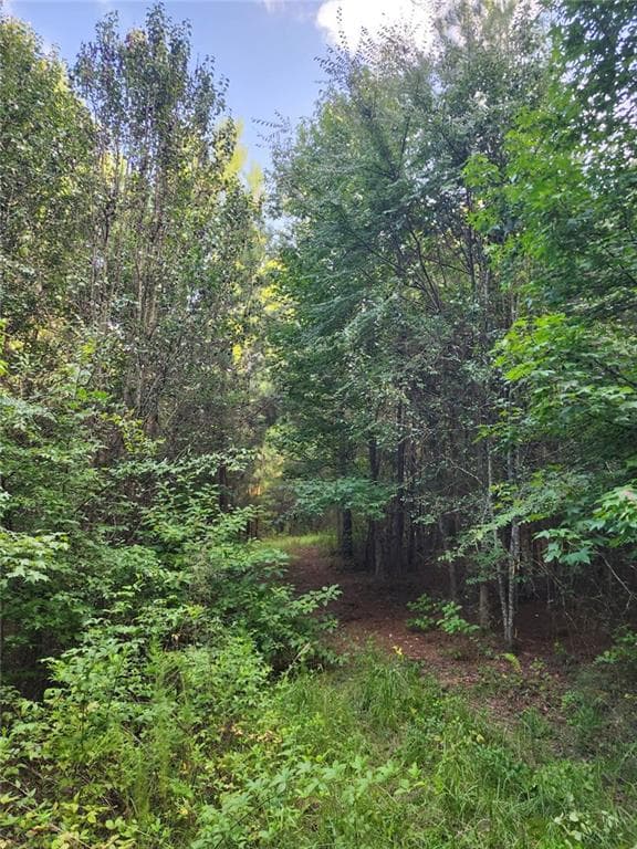 unimproved land for sale at 000 Hwy 142, Newborn, GA 30047 — photo 9