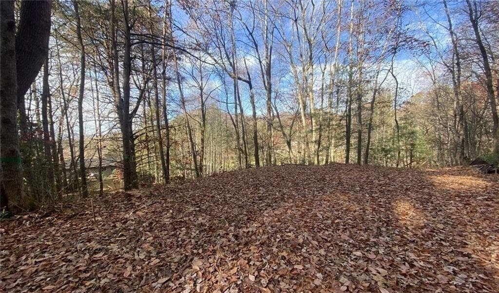 single family residence for sale at 1 BAREFOOT HILLS, Hiawassee, GA 30546 — photo 2