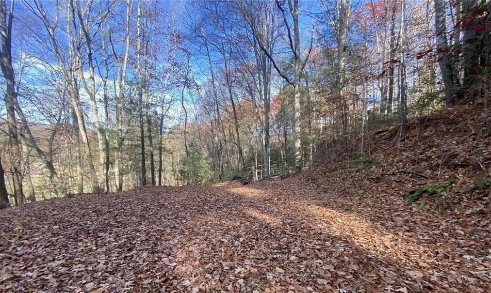 single family residence for sale at 1 BAREFOOT HILLS, Hiawassee, GA 30546 — photo 3