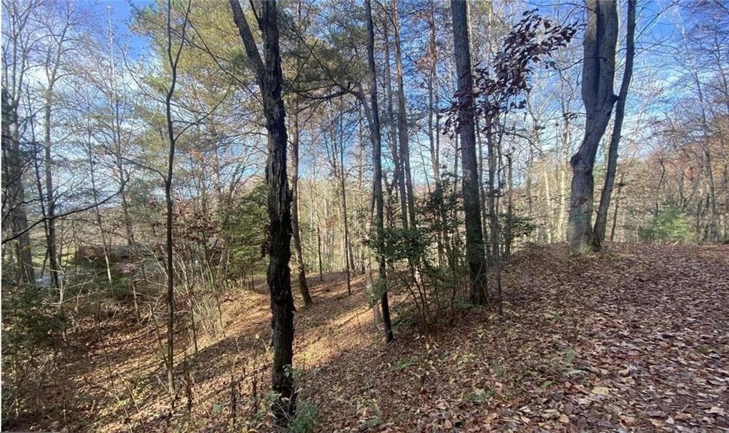 single family residence for sale at 1 BAREFOOT HILLS, Hiawassee, GA 30546 — photo 4