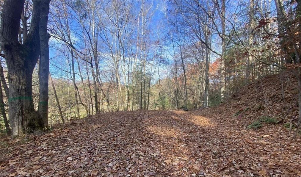 single family residence for sale at 1 BAREFOOT HILLS, Hiawassee, GA 30546 — photo 6