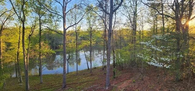 3 bedroom, 4 bathroom, 2,818 sq ft single family residence for sale at 327 Kissimmee Trail, Cornelia, GA 30531 — photo 2