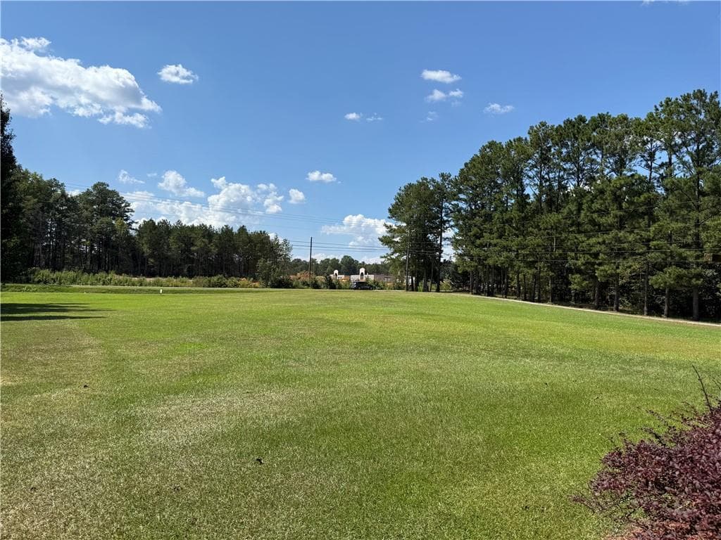 3 bedroom, 2 bathroom, 1,700 sq ft single family residence for sale at 435 S Unity Grove Road, Locust Grove, GA 30248 — photo 4