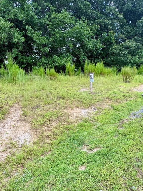 unimproved land for sale at 0 Big Valley Drive, Blue Ridge, GA 30513 — photo 1 of 5