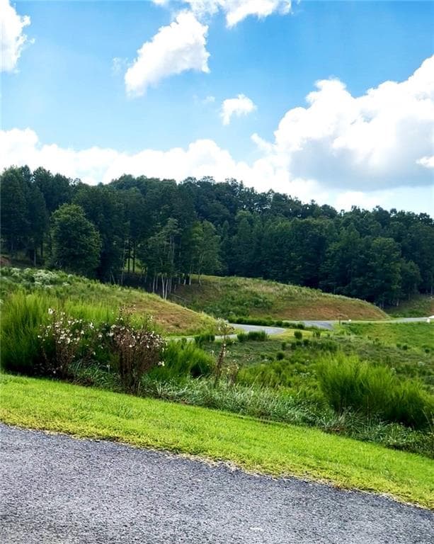 unimproved land for sale at 0 Big Valley Drive, Blue Ridge, GA 30513 — photo 2