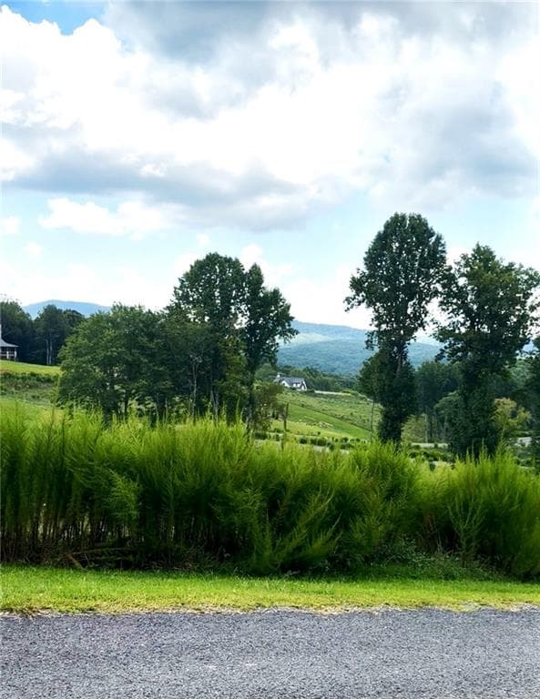 unimproved land for sale at 0 Big Valley Drive, Blue Ridge, GA 30513 — photo 3