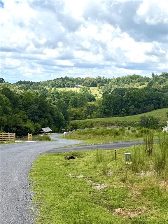 unimproved land for sale at 0 Big Valley Drive, Blue Ridge, GA 30513 — photo 4
