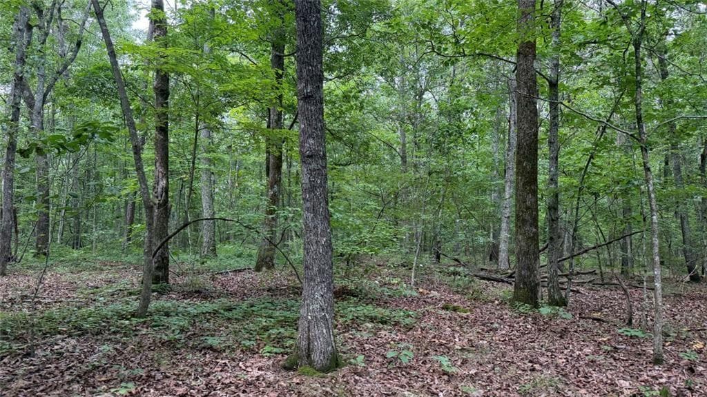 unimproved land for sale at 0 Bunratty Way, Kingston, GA 30145 — photo 2
