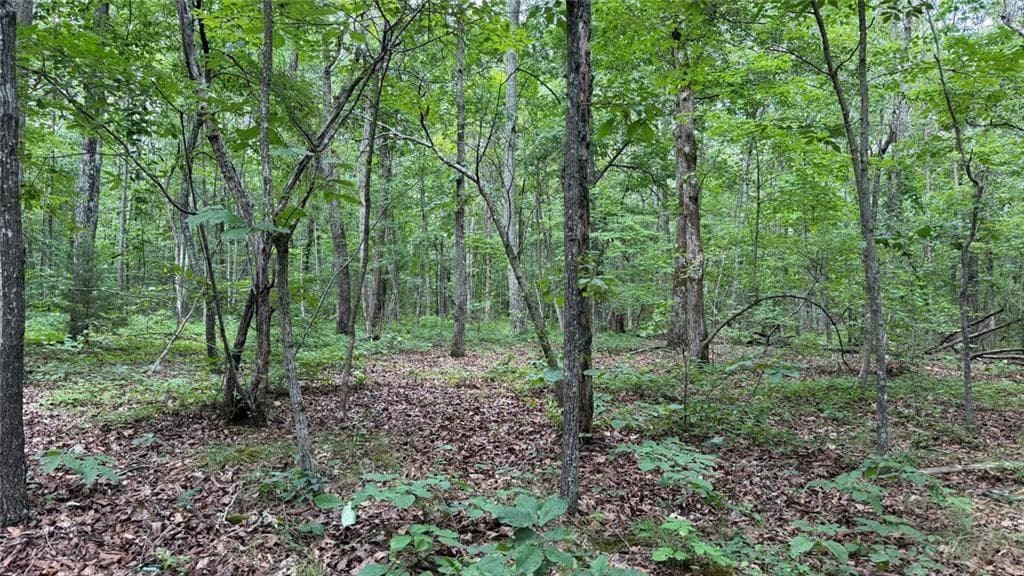 unimproved land for sale at 0 Bunratty Way, Kingston, GA 30145 — photo 3