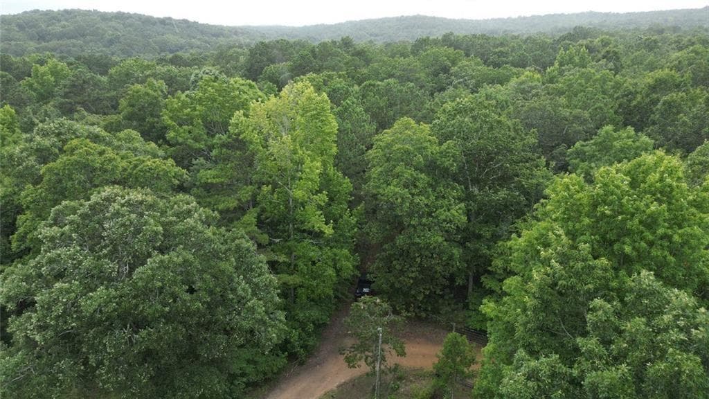 unimproved land for sale at 0 Bunratty Way, Kingston, GA 30145 — photo 4