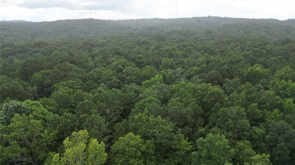 unimproved land for sale at 0 Bunratty Way, Kingston, GA 30145 — photo 5