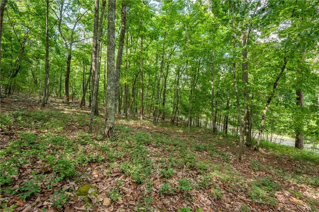 single family residence for sale at 307 Stonehaven Court, Jasper, GA 30143 — photo 4