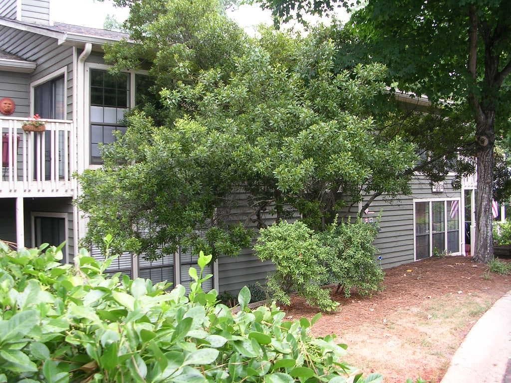 2 bedroom, 2 bathroom, 1,270 sq ft condominium for rent at 2683 Vinings Central Drive 61, Atlanta, GA 30339 for $1,800 a month — photo 2